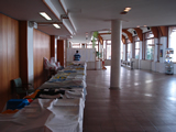 ChessOrg Bild
